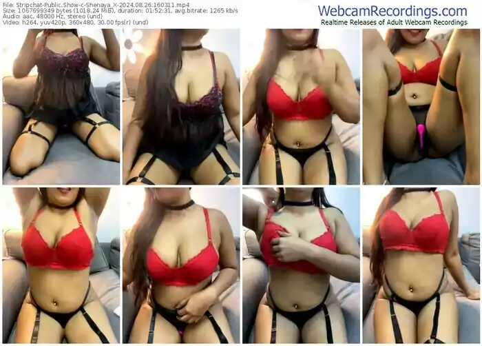 stripchat-shenaya_x-08-26-2024-16-03-11