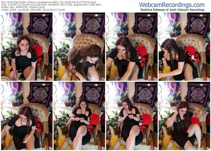 stripchat-snowbunnycake_131-08-26-2024-07-52-20