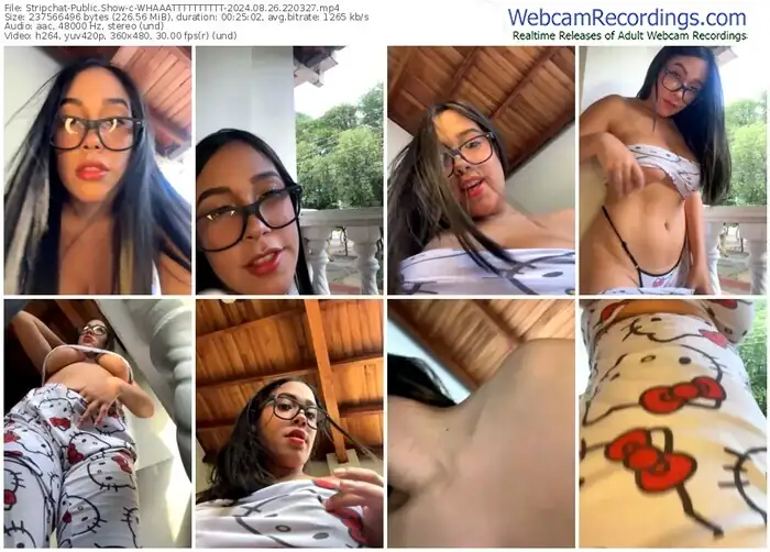 stripchat-whaaatttttttttt-08-26-2024-22-03-27