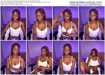 stripchat-9143lela-08-26-2024-00-44-33