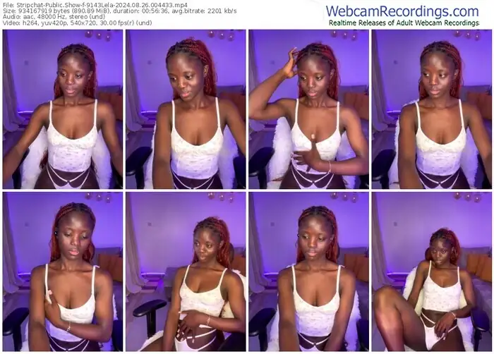 stripchat-9143lela-08-26-2024-00-44-33