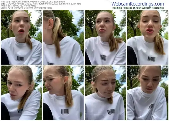 stripchat-aniemiller-08-26-2024-12-00-52