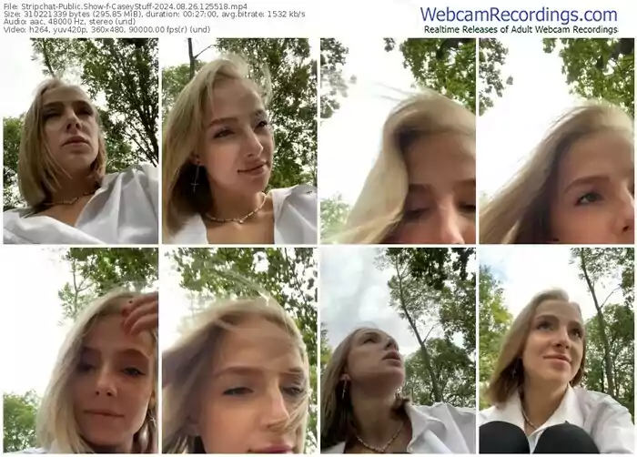 stripchat-caseystuff-08-26-2024-12-55-18