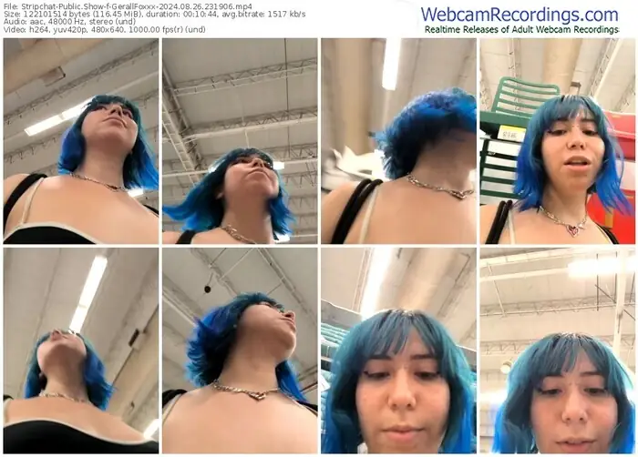 stripchat-gerallfoxxx-08-26-2024-23-19-06