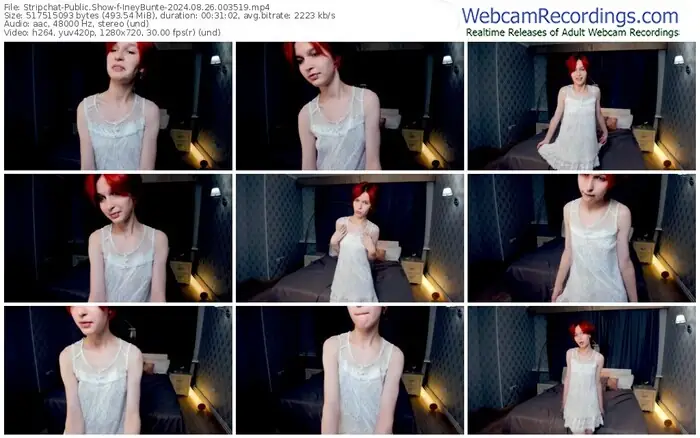 stripchat-ineybunte-08-26-2024-00-35-19