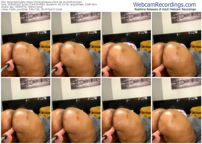 stripchat-kinkyphatass-08-26-2024-02-35-19
