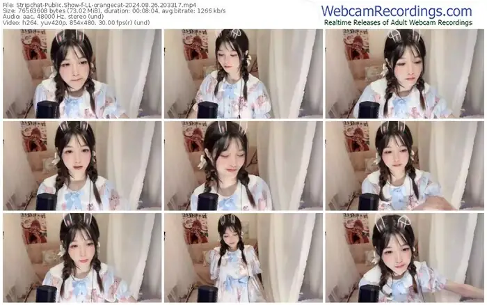 stripchat-ll-orangecat-08-26-2024-20-33-17