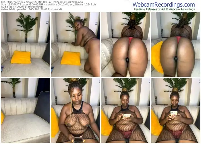 stripchat-shine-bellah-08-26-2024-20-39-30