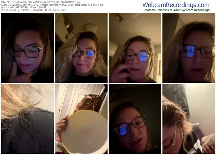 stripchat-tonivice-08-26-2024-06-28-32