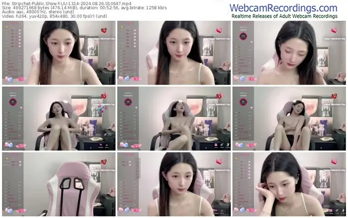 stripchat-uu-1314-08-26-2024-01-06-47