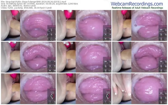 stripchat-danigirl866-08-26-2024-02-03-11