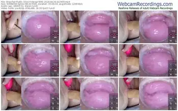 stripchat-danigirl866-08-26-2024-02-29-09