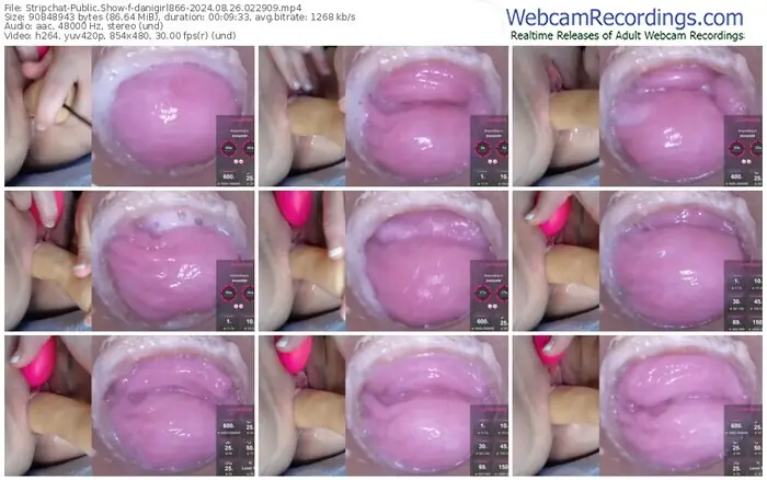 stripchat-danigirl866-08-26-2024-02-29-09