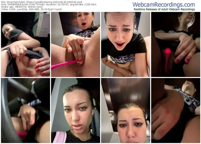 stripchat-goodforkarina-08-26-2024-06-40-20