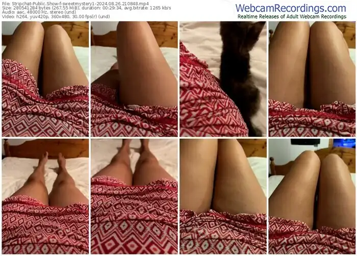 stripchat-sweetmystery1-08-26-2024-21-08-48