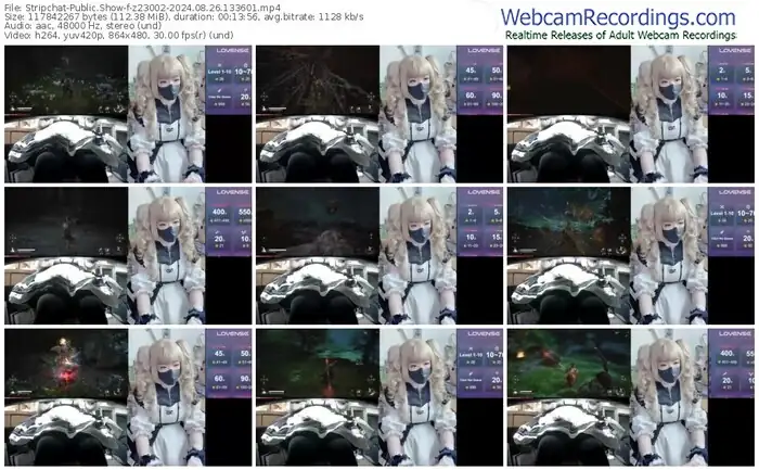 stripchat-z23002-08-26-2024-13-36-01