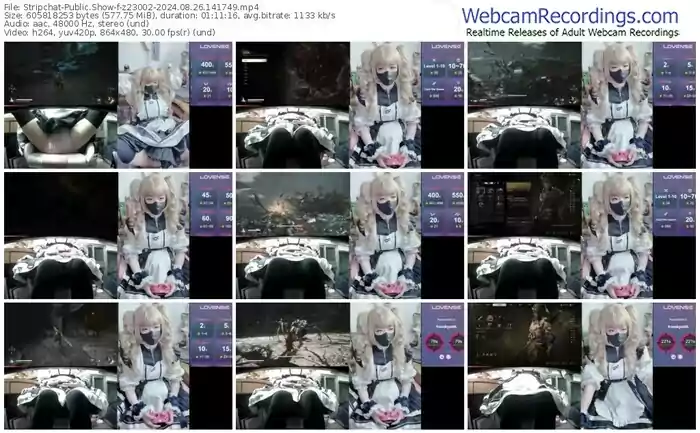 stripchat-z23002-08-26-2024-14-17-49