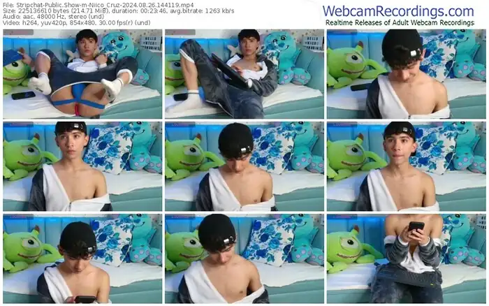 stripchat-niico_cruz-08-26-2024-14-41-19