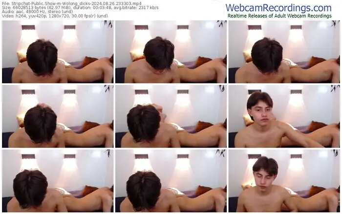 stripchat-wolong_dicks-08-26-2024-23-33-03