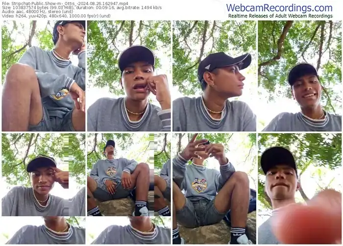 stripchat-_ottis_-08-26-2024-16-29-47