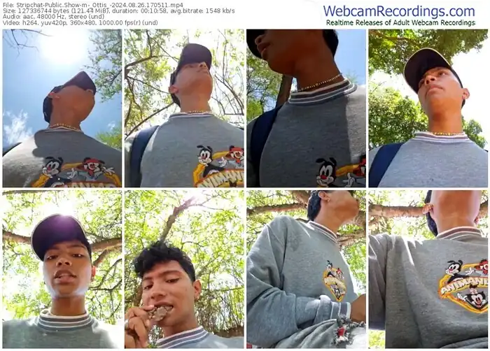 stripchat-_ottis_-08-26-2024-17-05-11