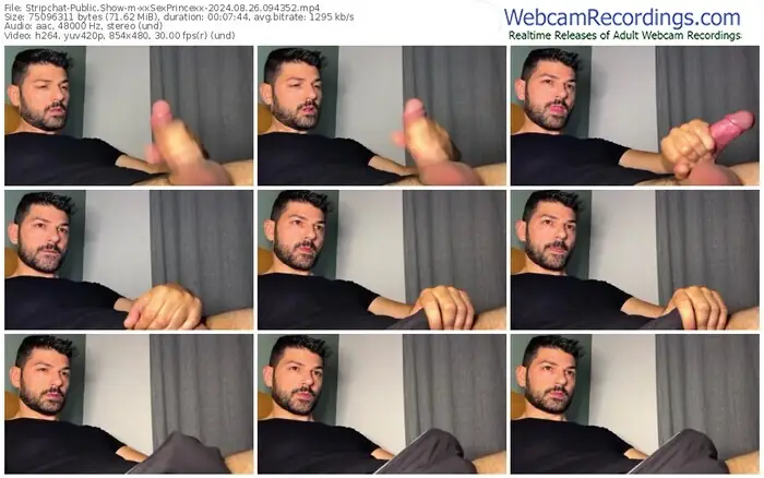 stripchat-xxsexprincexx-08-26-2024-09-43-52