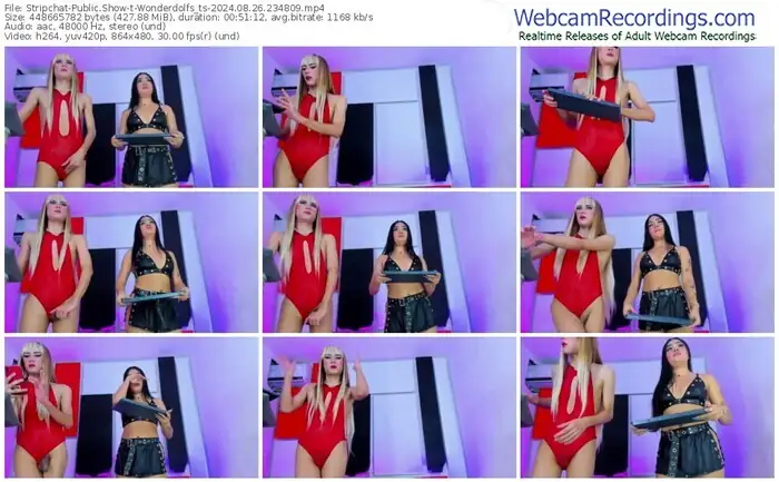 stripchat-wonderdolfs_ts-08-26-2024-23-48-09