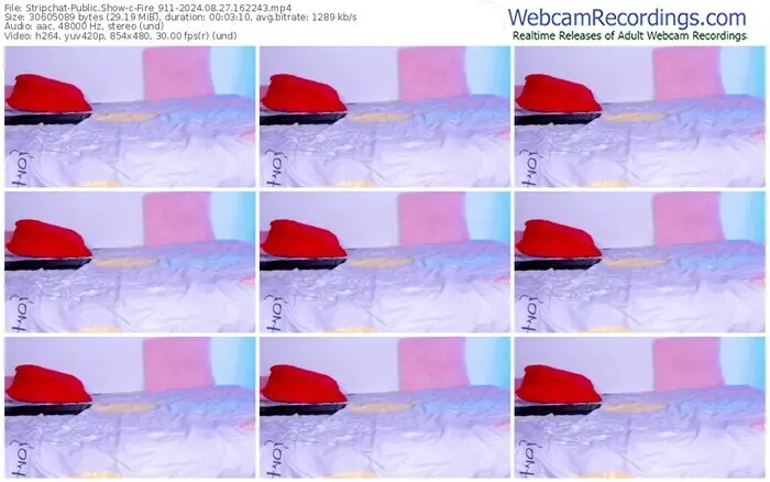 stripchat-fire_911-08-27-2024-16-22-43