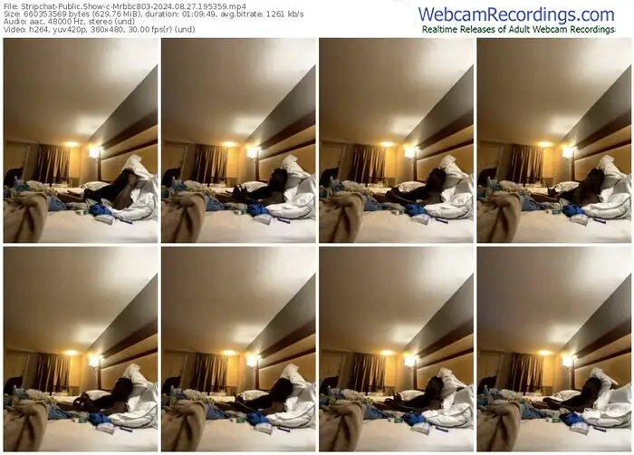 stripchat-mrbbc803-08-27-2024-19-53-59