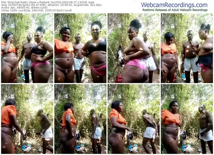 stripchat-rediant_two256-08-27-2024-13-33-41