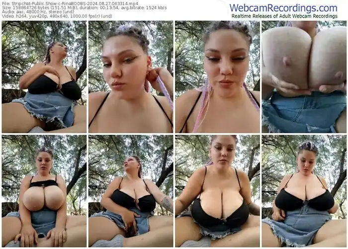 stripchat-rinaboobs-08-27-2024-06-33-14