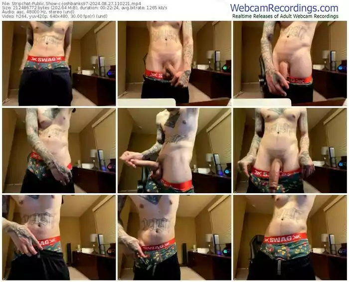 stripchat-joshbanks97-08-27-2024-11-02-21