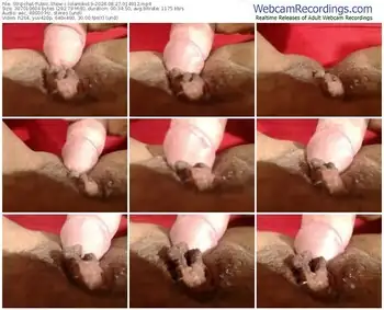 stripchat-lolamike19-08-27-2024-01-49-12