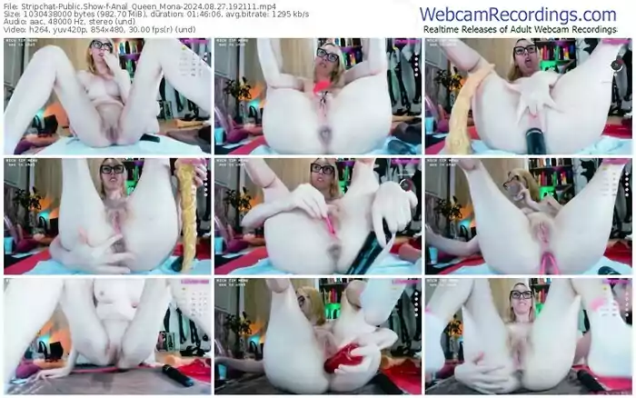 stripchat-anal_queen_mona-08-27-2024-19-21-11