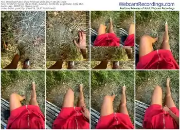 stripchat-felinae-08-27-2024-09-12-51