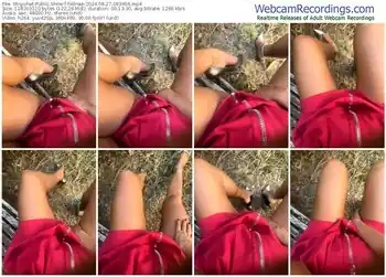 stripchat-felinae-08-27-2024-09-34-56