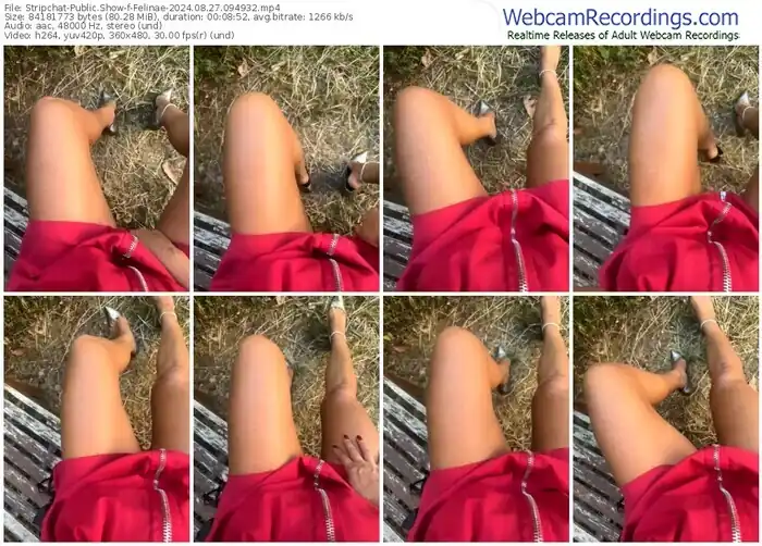 stripchat-felinae-08-27-2024-09-49-32