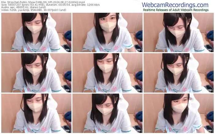 stripchat-melon_opi-08-27-2024-02-00-42