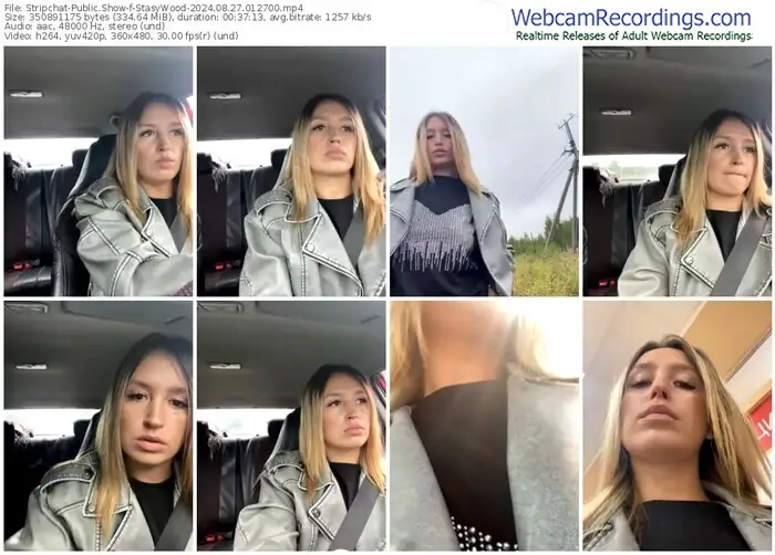 stripchat-stasywood-08-27-2024-01-27-00