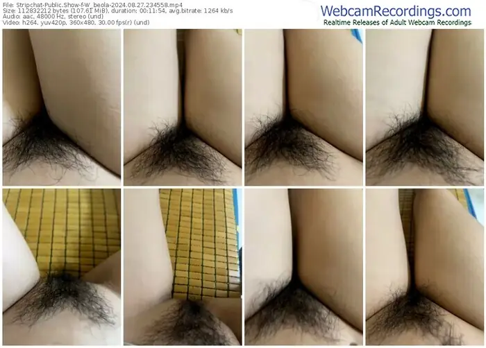 stripchat-w_beola-08-27-2024-23-45-58