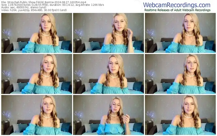stripchat-wild_berrrie-08-27-2024-16-03-54