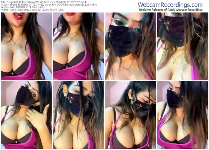 stripchat-wildbitchfucks-08-27-2024-20-57-37