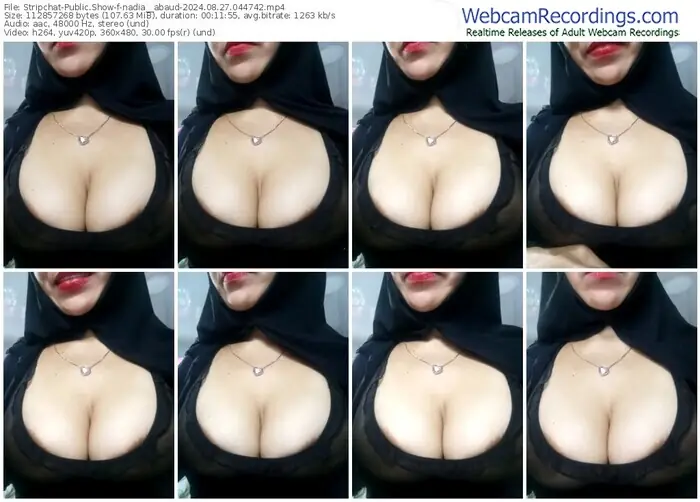 stripchat-nadia__abaud-08-27-2024-04-47-42