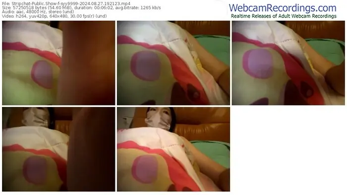 stripchat-syy9999-08-27-2024-19-21-23