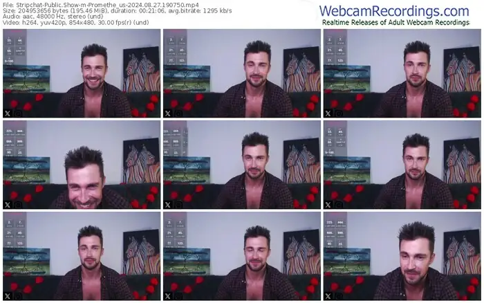 stripchat-promethe_us-08-27-2024-19-07-50