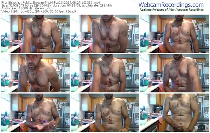 stripchat-themrfox13-08-27-2024-19-13-12