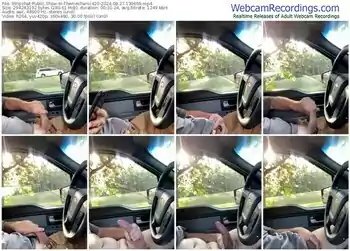 stripchat-themechanic420-08-27-2024-13-06-59