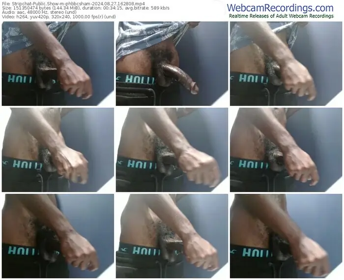 stripchat-phbbcsham-08-27-2024-16-28-08