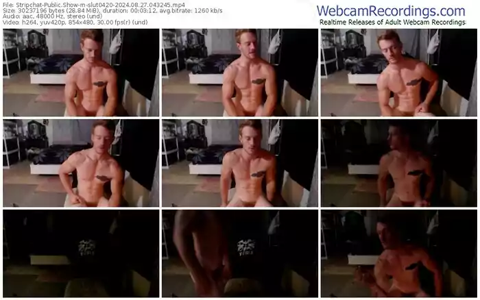 stripchat-slut0420-08-27-2024-04-32-45