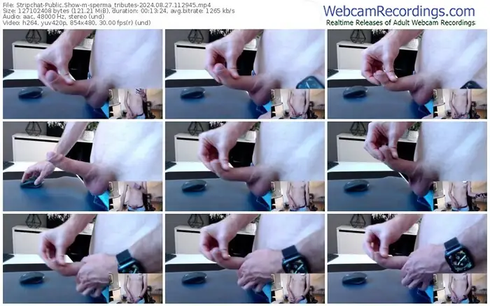 stripchat-sperma_tributes-08-27-2024-11-29-45